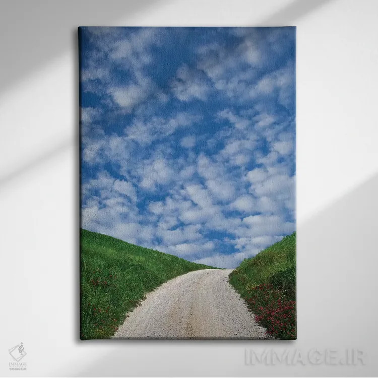 تابلو دکوراتیو Tuscany. Dirt road to villa.,ایتالیا، توسکانی. جاده خاکی به… اثر جینز گالری - نمای روبهرو روی دیوار