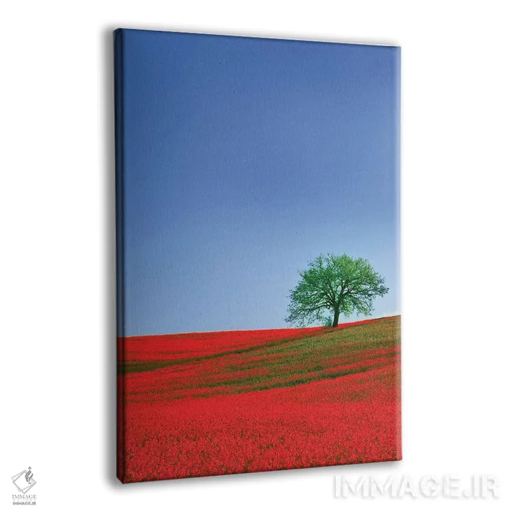 تابلو دکوراتیو Tuscany. Abstract of oak tree on red flower-covered hillside… اثر جینز گالری - نمای پرسپکتیو محصول