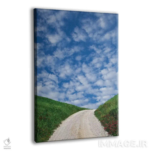 تابلو دکوراتیو Tuscany. Dirt road to villa.,ایتالیا، توسکانی. جاده خاکی به… اثر جینز گالری - نمای پرسپکتیو محصول
