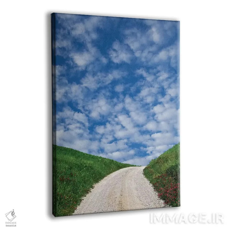 تابلو دکوراتیو Tuscany. Dirt road to villa.,ایتالیا، توسکانی. جاده خاکی به… اثر جینز گالری - نمای پرسپکتیو محصول