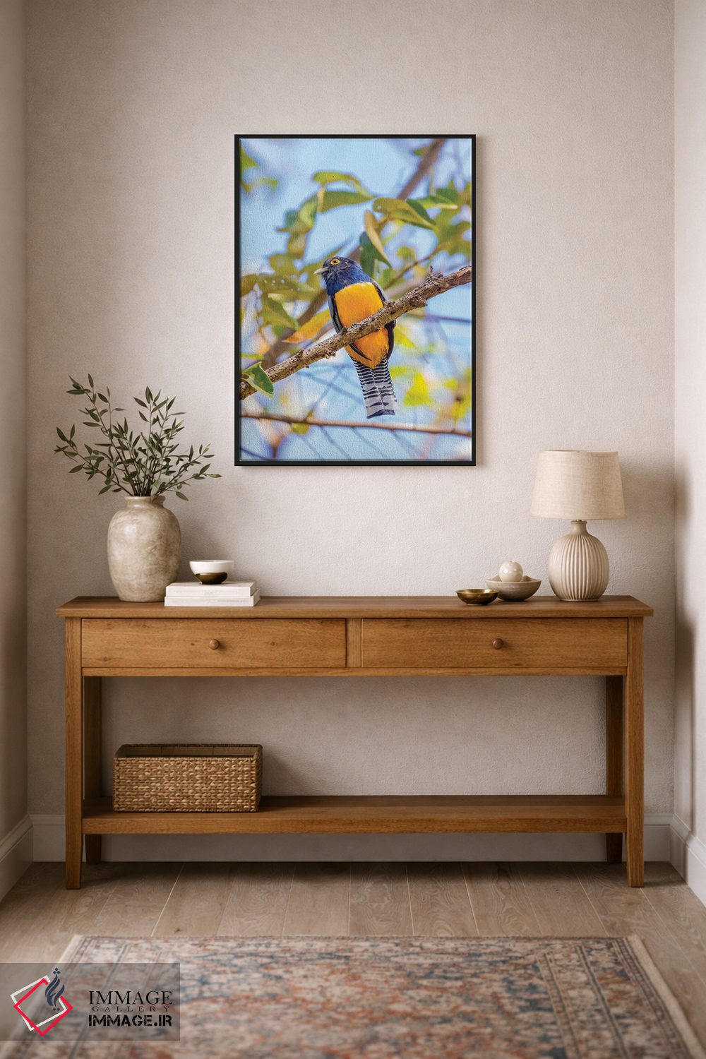 تابلو دکوراتیو Costa Rica. Male gartered trogon.,آمریکای مرکزی، کاستاریکا.… اثر جینز گالری - D2B