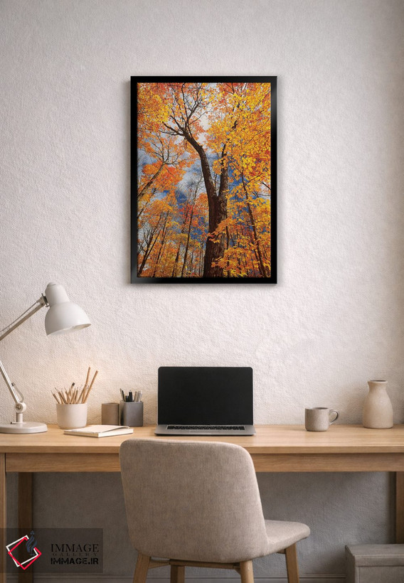 تابلو دکوراتیو Ontario, Fairbank Provincial Park. Sugar maple trees in autu… اثر جینز گالری - D2B