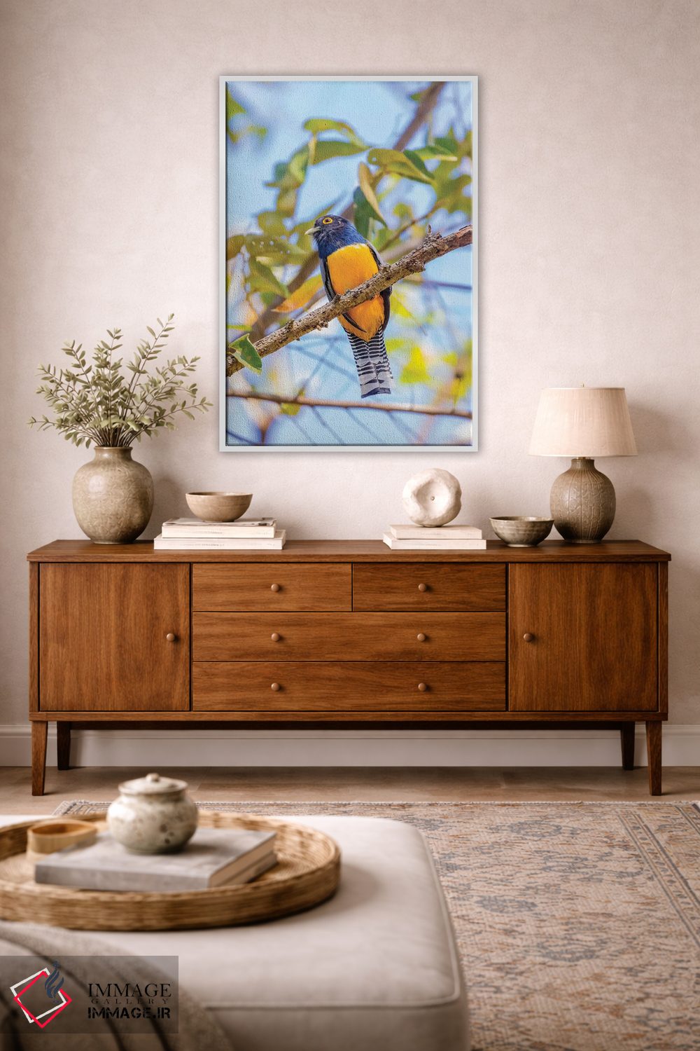 تابلو دکوراتیو Costa Rica. Male gartered trogon.,آمریکای مرکزی، کاستاریکا.… اثر جینز گالری - D3W