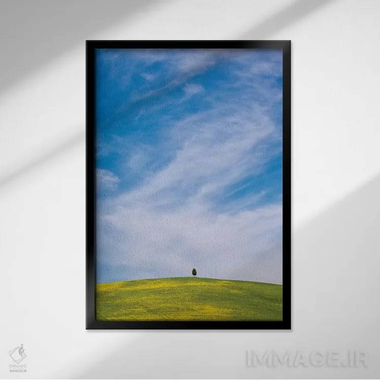 تابلو دکوراتیو San Quirico d'Orcia. Cypress tree on hill.,ایتالیا، سان کویر… اثر جینز گالری - نمای قابدار مشکی