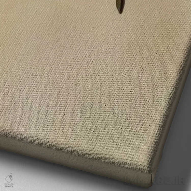 تابلو دکوراتیو Costa Rica. Male talamanca hummingbird feeding.,آمریکای مرکز… اثر جینز گالری - نمای نزدیک بافت بوم