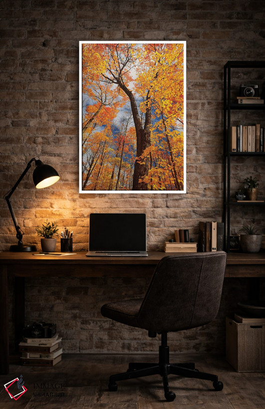 تابلو دکوراتیو Ontario, Fairbank Provincial Park. Sugar maple trees in autu… اثر جینز گالری - D4W