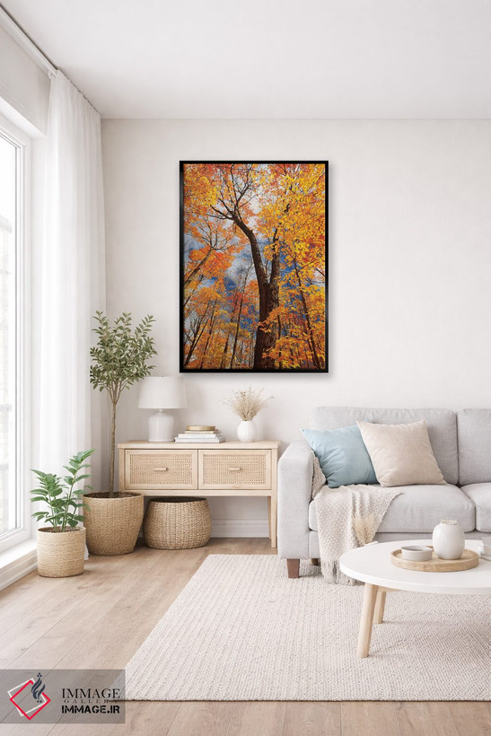 تابلو دکوراتیو Ontario, Fairbank Provincial Park. Sugar maple trees in autu… اثر جینز گالری - D5B