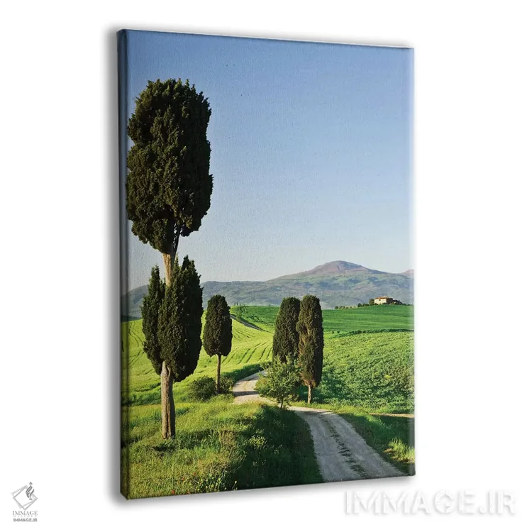 تابلو دکوراتیو Tuscany. Landscape with villa,ایتالیا، توسکانی. چشم انداز با… اثر جینز گالری - نمای پرسپکتیو محصول