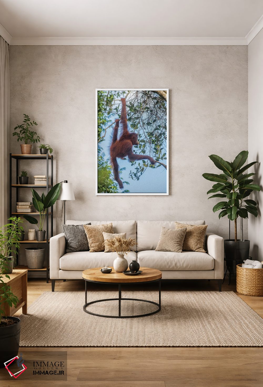 تابلو دکوراتیو Borneo, Kalimantan. Female orangutan at Tanjung Puting Natio… اثر جینز گالری - D1W