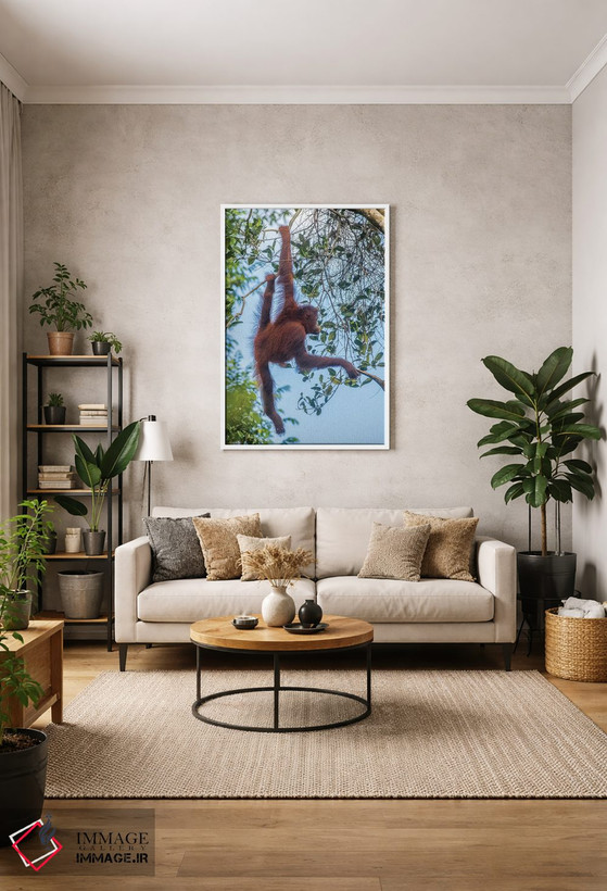 تابلو دکوراتیو Borneo, Kalimantan. Female orangutan at Tanjung Puting Natio… اثر جینز گالری - D1W
