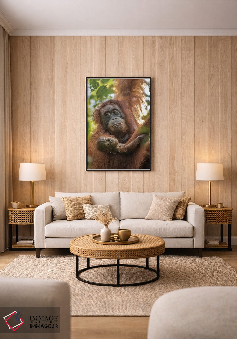 تابلو دکوراتیو Borneo, Kalimantan. Female orangutan with baby at Tanjung Pu… اثر جینز گالری - D1B