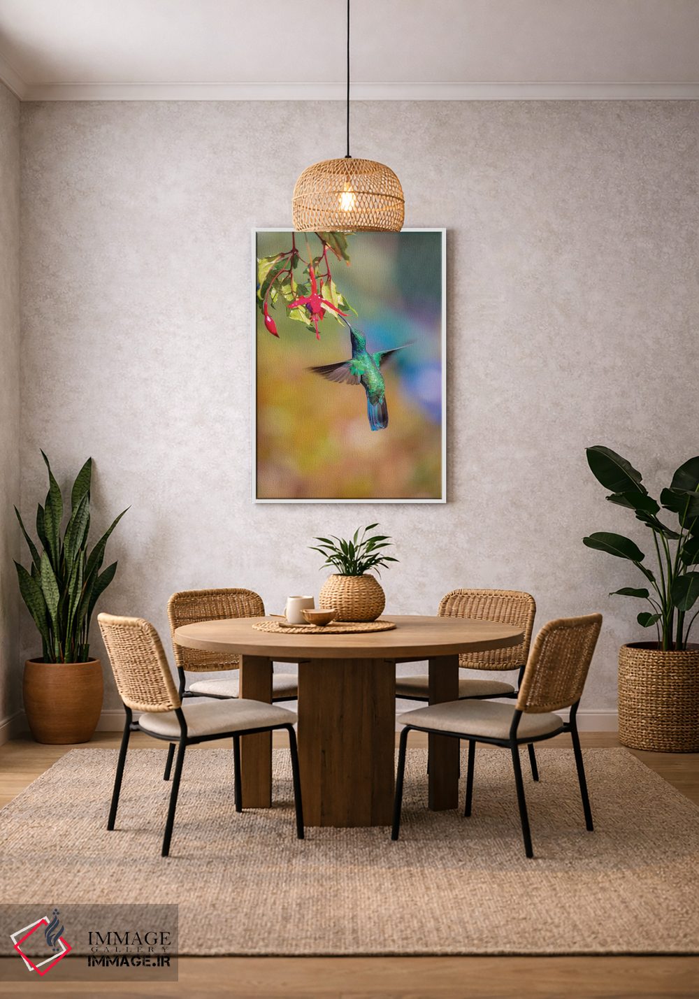 تابلو دکوراتیو Costa Rica. Male lesser violetear hummingbird feeding.,آمریک… اثر جینز گالری - D1W