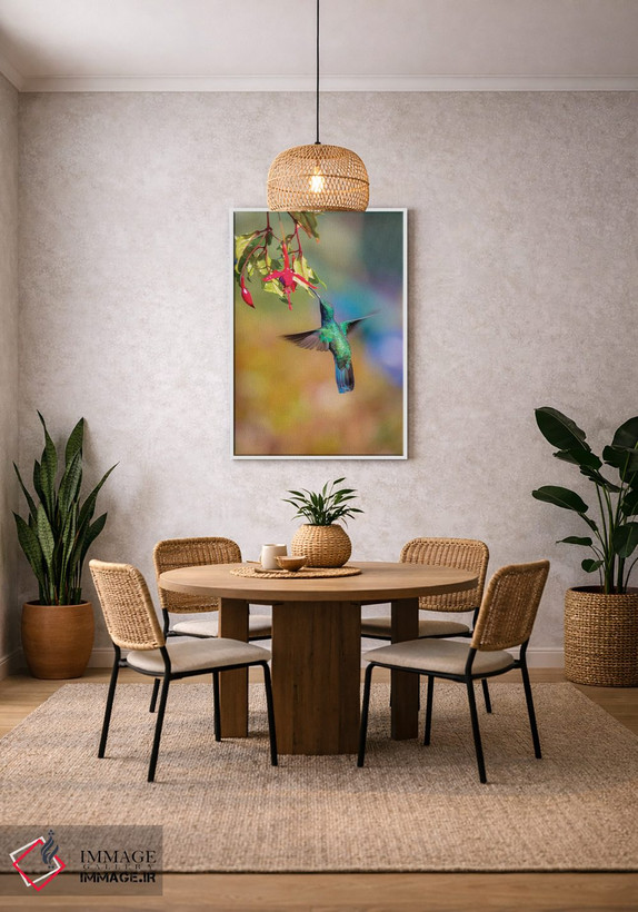 تابلو دکوراتیو Costa Rica. Male lesser violetear hummingbird feeding.,آمریک… اثر جینز گالری - D1W