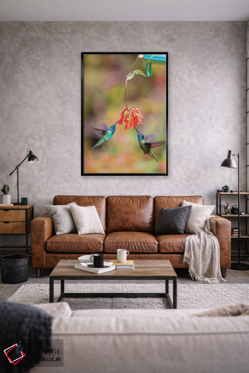 تابلو دکوراتیو Costa Rica. Male hummingbirds feeding.,آمریکای مرکزی، کاستار… اثر جینز گالری - D1B