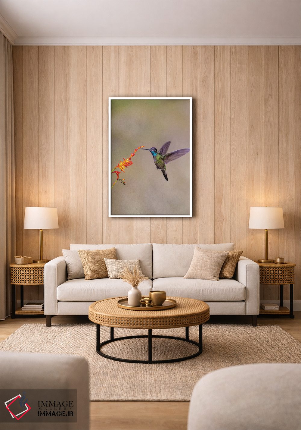 تابلو دکوراتیو Costa Rica. Male talamanca hummingbird feeding.,آمریکای مرکز… اثر جینز گالری - D1W