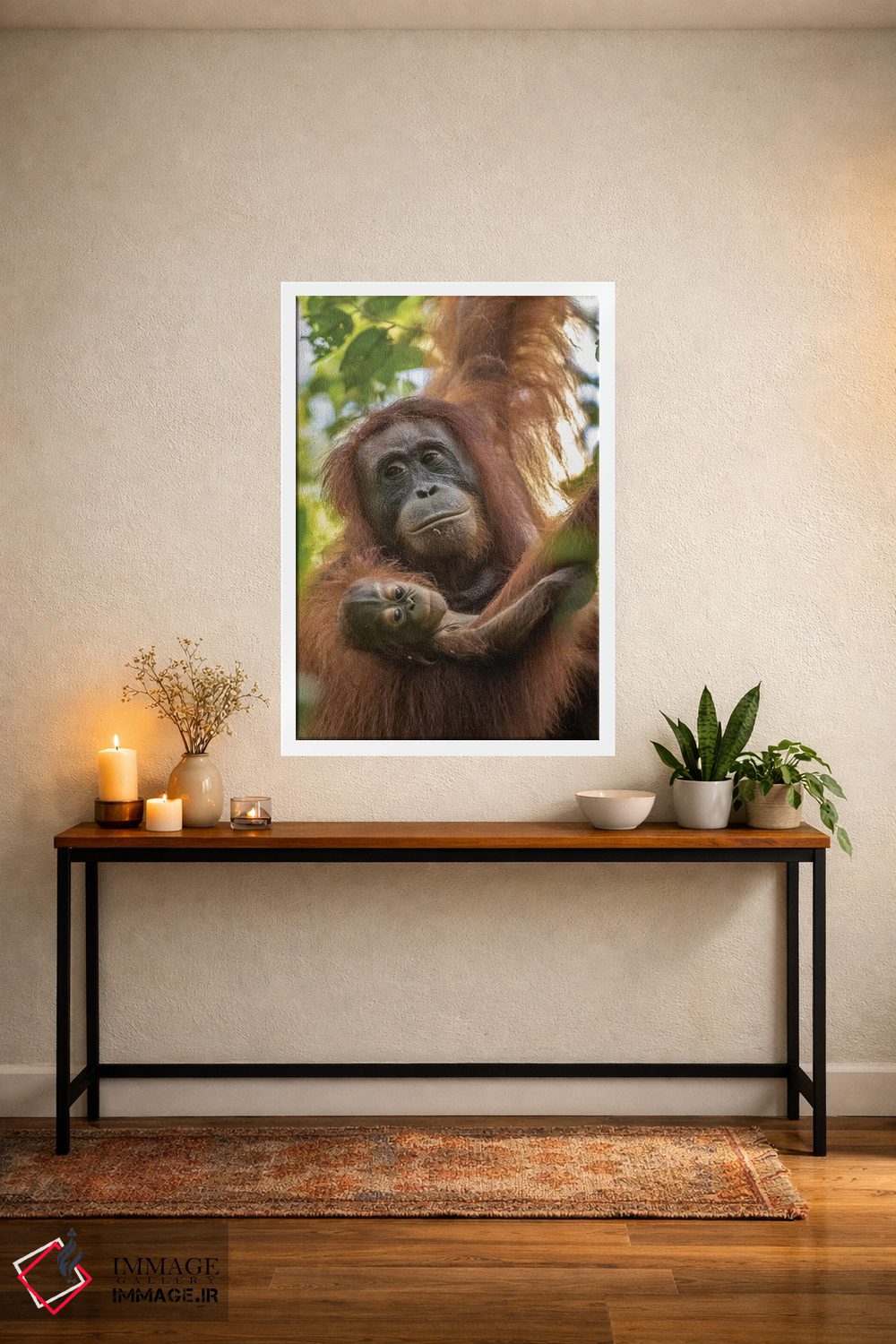 تابلو دکوراتیو Borneo, Kalimantan. Female orangutan with baby at Tanjung Pu… اثر جینز گالری - D3W