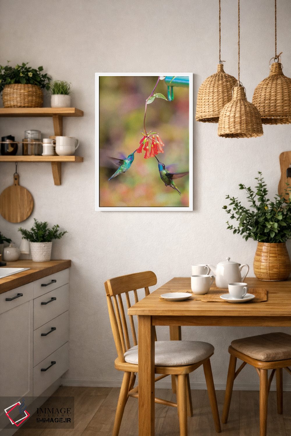 تابلو دکوراتیو Costa Rica. Male hummingbirds feeding.,آمریکای مرکزی، کاستار… اثر جینز گالری - D3W