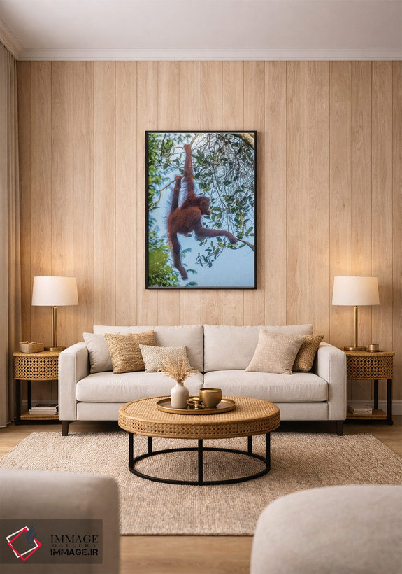 تابلو دکوراتیو Borneo, Kalimantan. Female orangutan at Tanjung Puting Natio… اثر جینز گالری - D2B