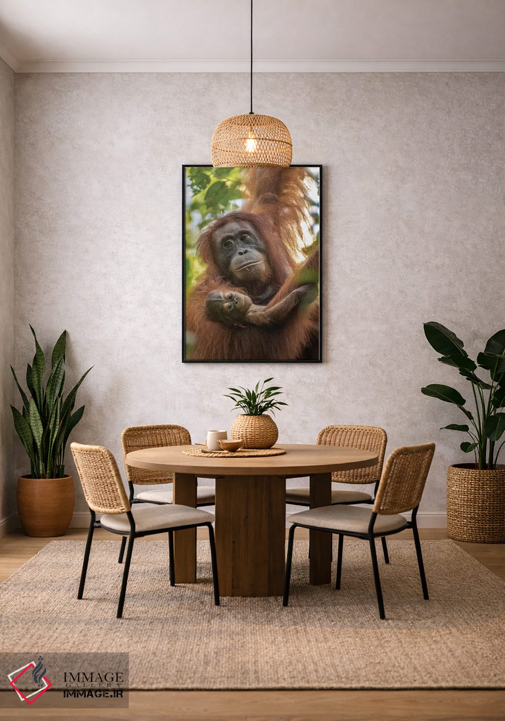 تابلو دکوراتیو Borneo, Kalimantan. Female orangutan with baby at Tanjung Pu… اثر جینز گالری - D4B