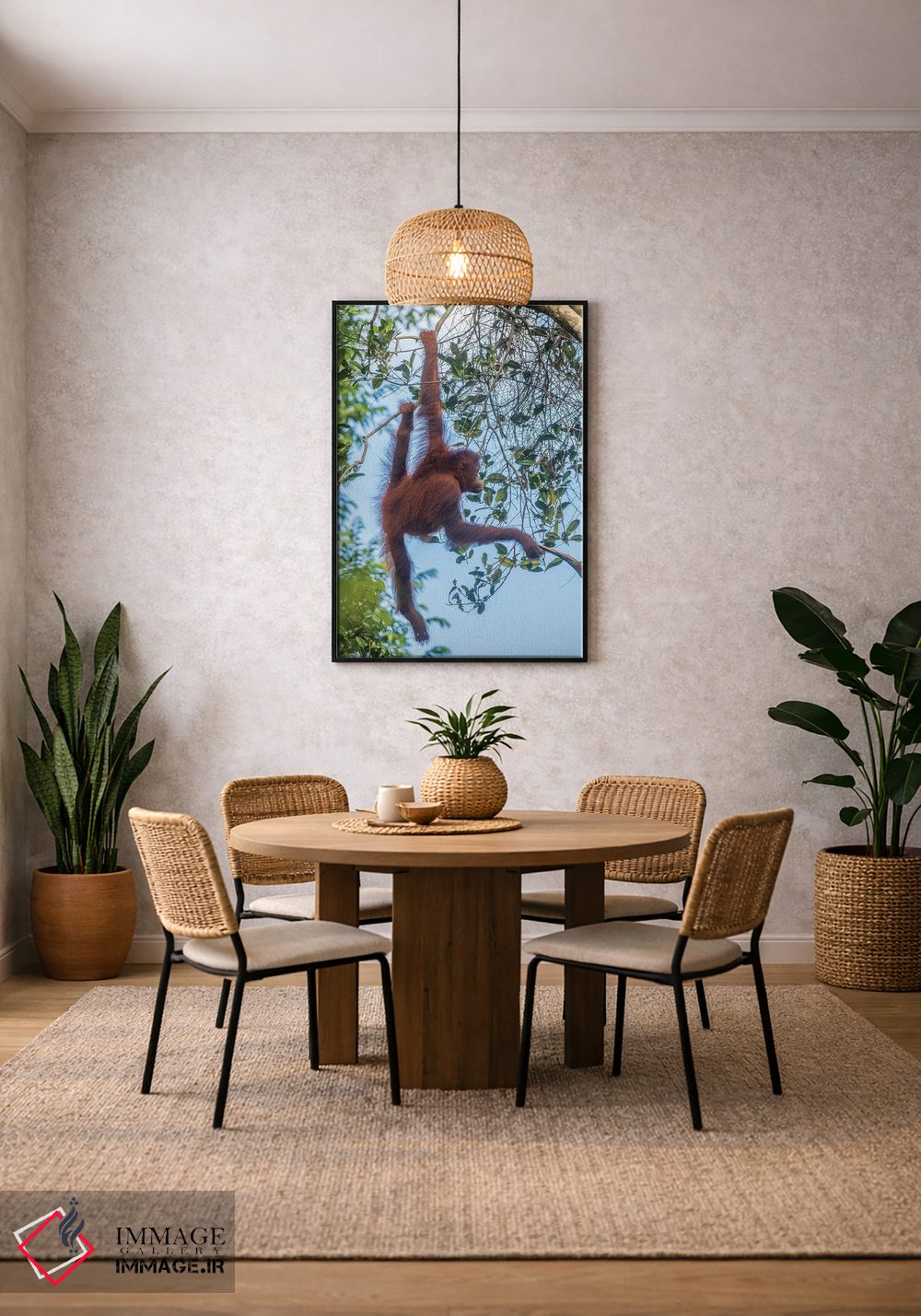 تابلو دکوراتیو Borneo, Kalimantan. Female orangutan at Tanjung Puting Natio… اثر جینز گالری - D4B