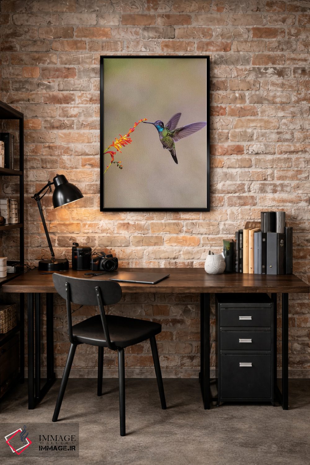 تابلو دکوراتیو Costa Rica. Male talamanca hummingbird feeding.,آمریکای مرکز… اثر جینز گالری - D4B