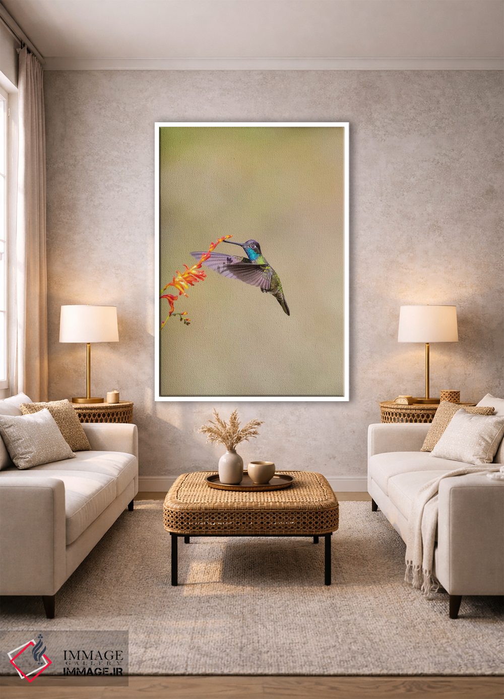تابلو دکوراتیو Costa Rica. Male talamanca hummingbird feeding.,آمریکای مرکز… اثر جینز گالری - D1W