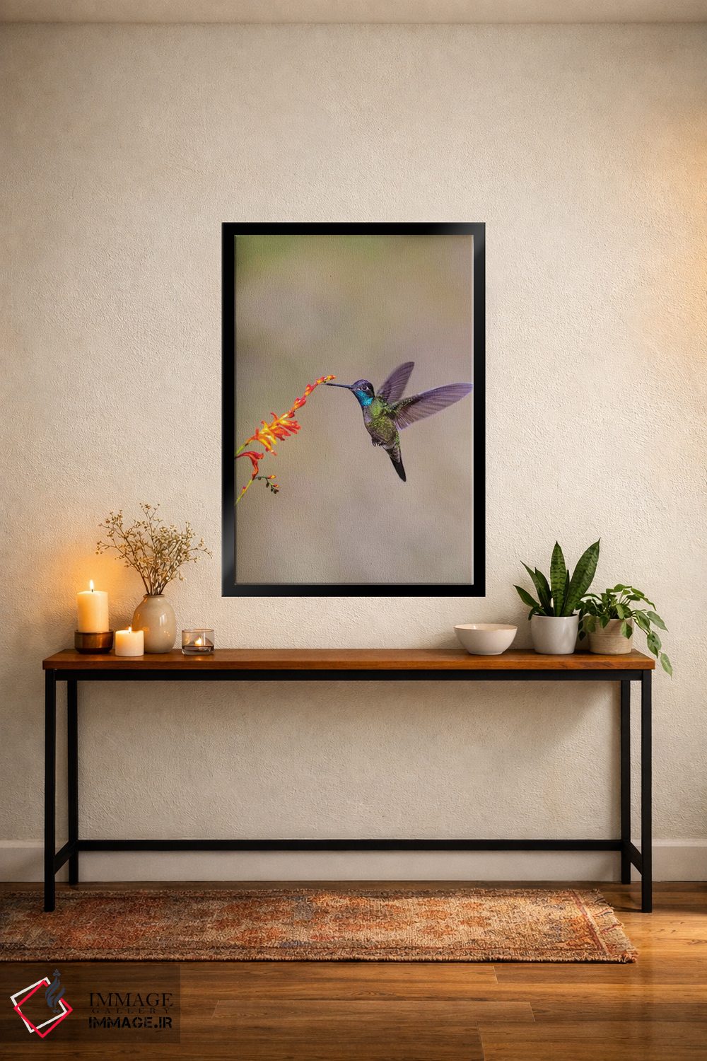 تابلو دکوراتیو Costa Rica. Male talamanca hummingbird feeding.,آمریکای مرکز… اثر جینز گالری - D6B