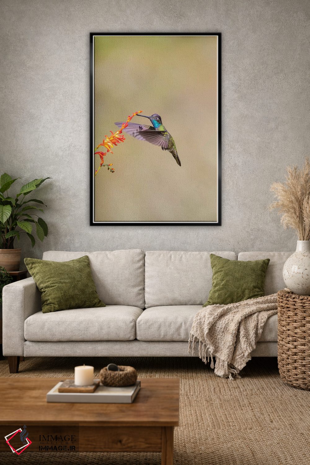 تابلو دکوراتیو Costa Rica. Male talamanca hummingbird feeding.,آمریکای مرکز… اثر جینز گالری - D2B