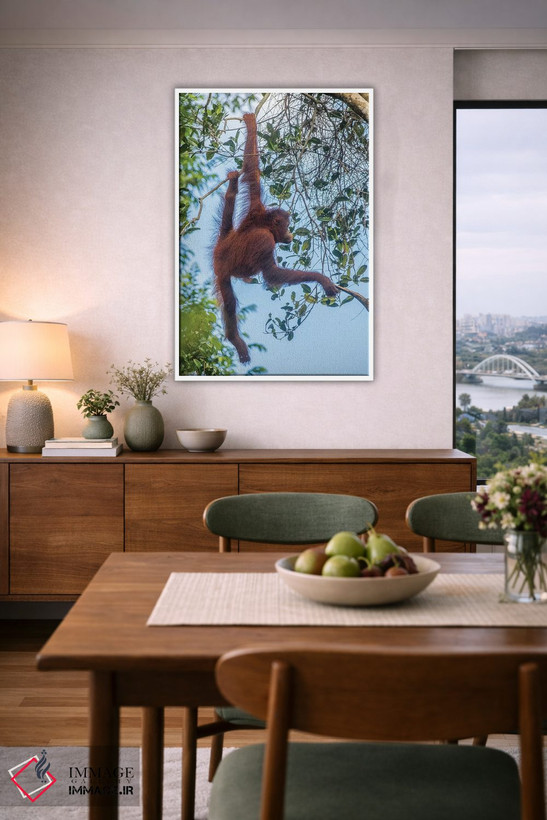 تابلو دکوراتیو Borneo, Kalimantan. Female orangutan at Tanjung Puting Natio… اثر جینز گالری - D6W