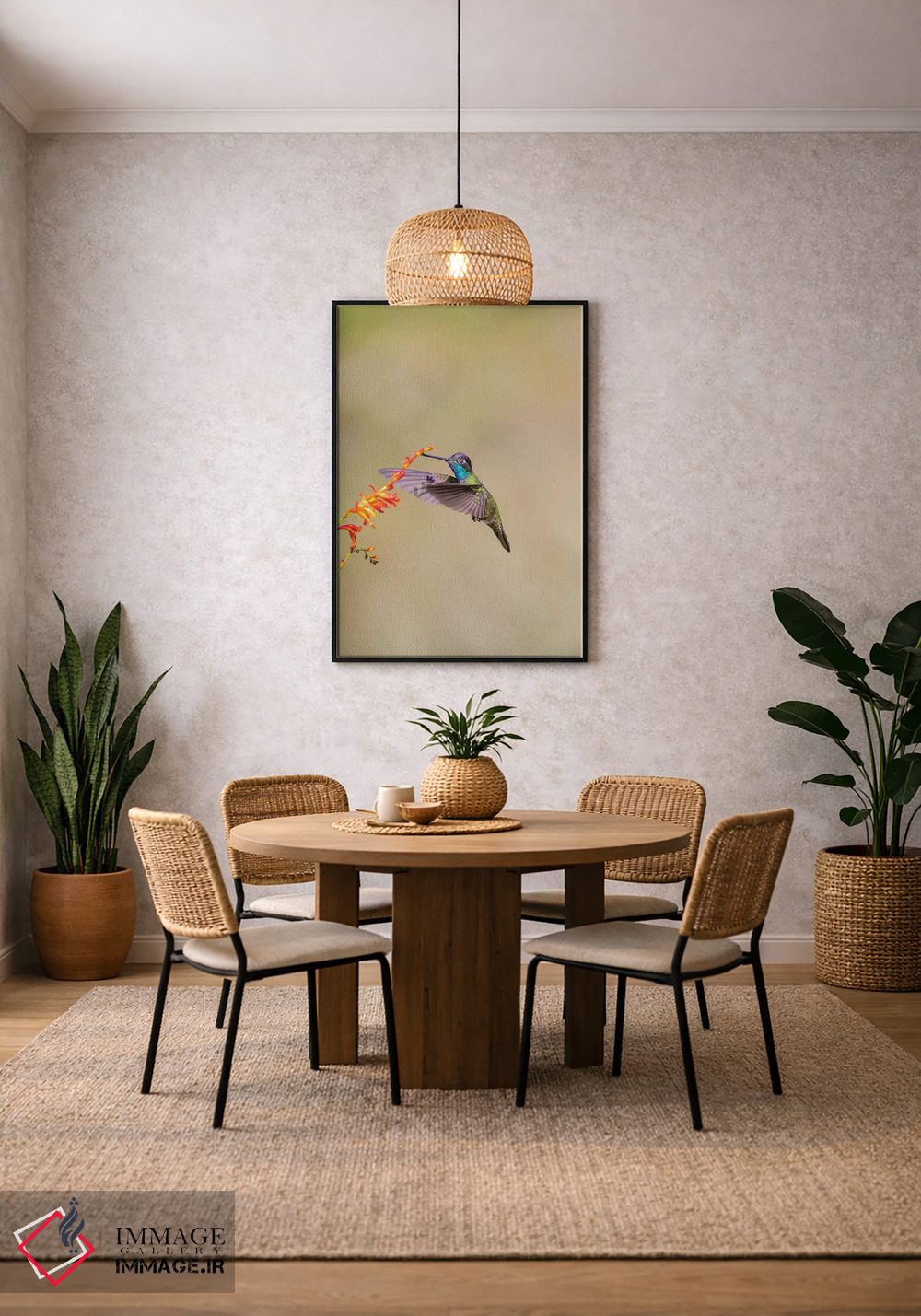 تابلو دکوراتیو Costa Rica. Male talamanca hummingbird feeding.,آمریکای مرکز… اثر جینز گالری - D4B