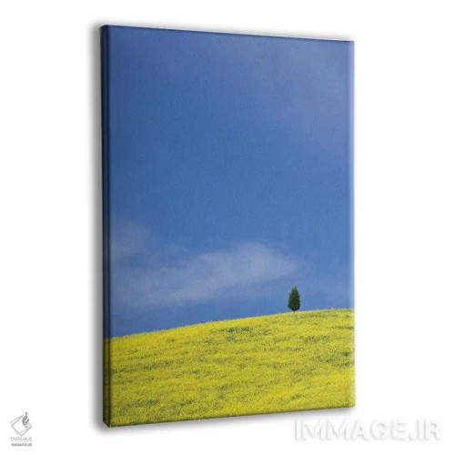 تابلو دکوراتیو Tuscany. Lone cypress tree on flower-covered hillside I,ایتا… اثر جینز گالری - نمای پرسپکتیو محصول
