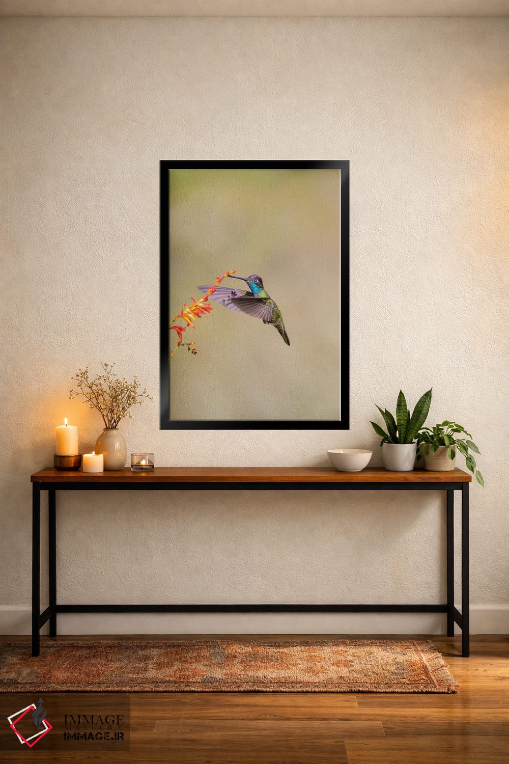 تابلو دکوراتیو Costa Rica. Male talamanca hummingbird feeding.,آمریکای مرکز… اثر جینز گالری - D5B