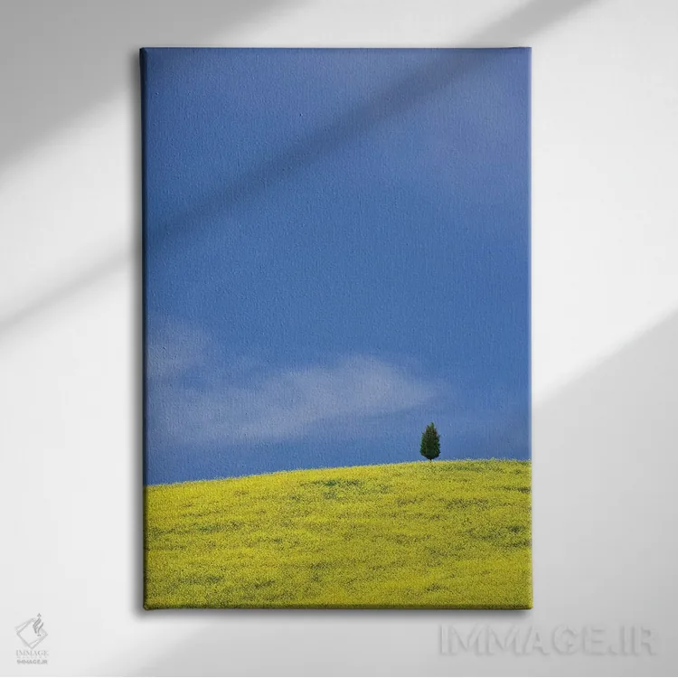 تابلو دکوراتیو Tuscany. Lone cypress tree on flower-covered hillside I,ایتا… اثر جینز گالری - نمای روبهرو روی دیوار
