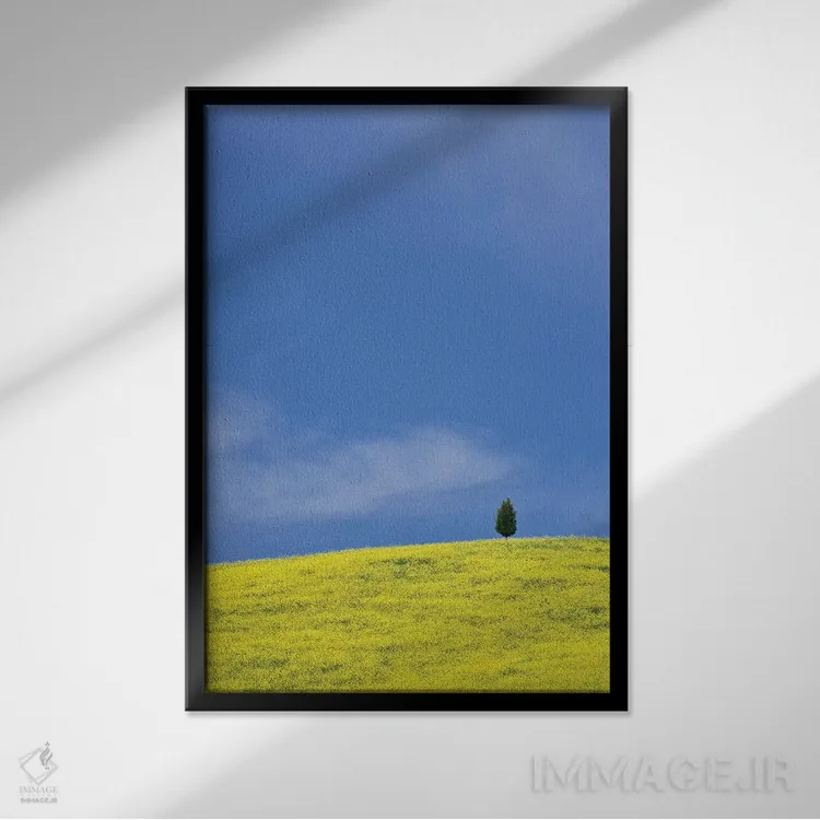 تابلو دکوراتیو Tuscany. Lone cypress tree on flower-covered hillside I,ایتا… اثر جینز گالری - نمای قابدار مشکی