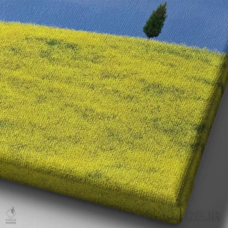 تابلو دکوراتیو Tuscany. Lone cypress tree on flower-covered hillside I,ایتا… اثر جینز گالری - نمای نزدیک بافت بوم
