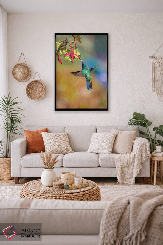 تابلو دکوراتیو Costa Rica. Male lesser violetear hummingbird feeding.,آمریک… اثر جینز گالری - D4B