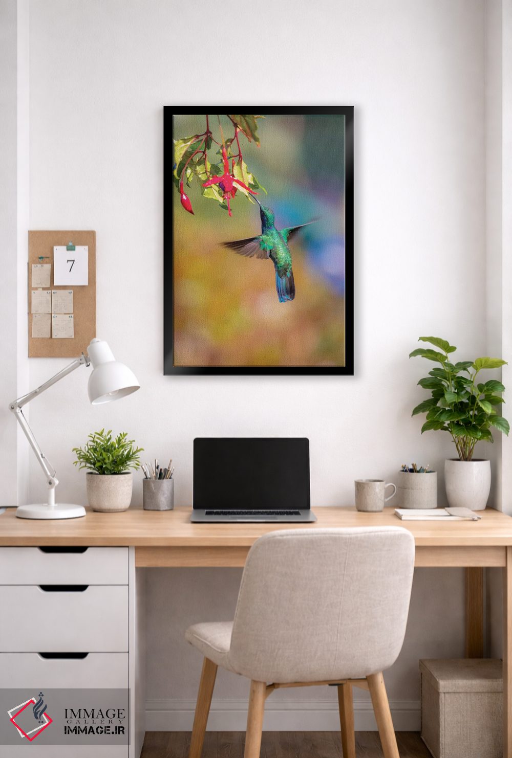 تابلو دکوراتیو Costa Rica. Male lesser violetear hummingbird feeding.,آمریک… اثر جینز گالری - D5B