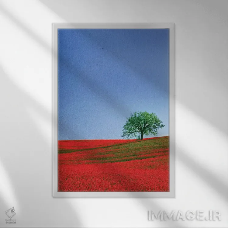 تابلو دکوراتیو Tuscany. Abstract of oak tree on red flower-covered hillside… اثر جینز گالری - نمای قابدار سفید