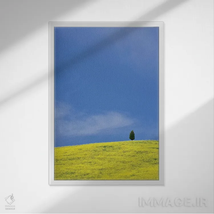 تابلو دکوراتیو Tuscany. Lone cypress tree on flower-covered hillside I,ایتا… اثر جینز گالری - نمای قابدار سفید