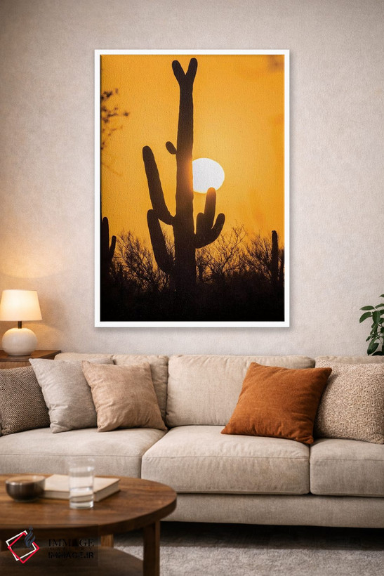 تابلو دکوراتیو Arizona, Saguaro National Park. Saguaro cactus at sunset.,آم… اثر جینز گالری - D1W