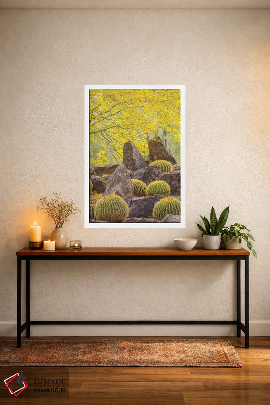 تابلو دکوراتیو Arizona, Desert Botanic Garden. Cactus garden and rocks.,آمر… اثر جینز گالری - D3W