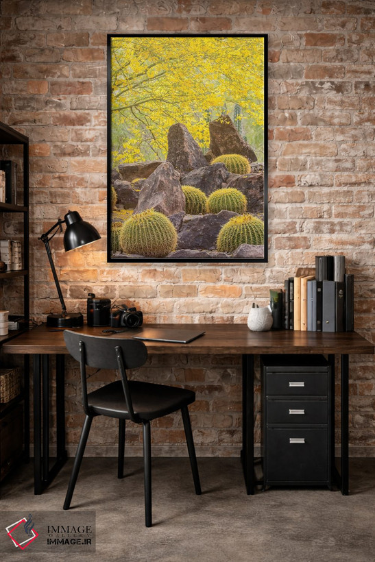 تابلو دکوراتیو Arizona, Desert Botanic Garden. Cactus garden and rocks.,آمر… اثر جینز گالری - D5B