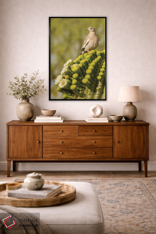 تابلو دکوراتیو Arizona, Sonoran Desert. White-winged dove on saguaro cactus… اثر جینز گالری - D4B