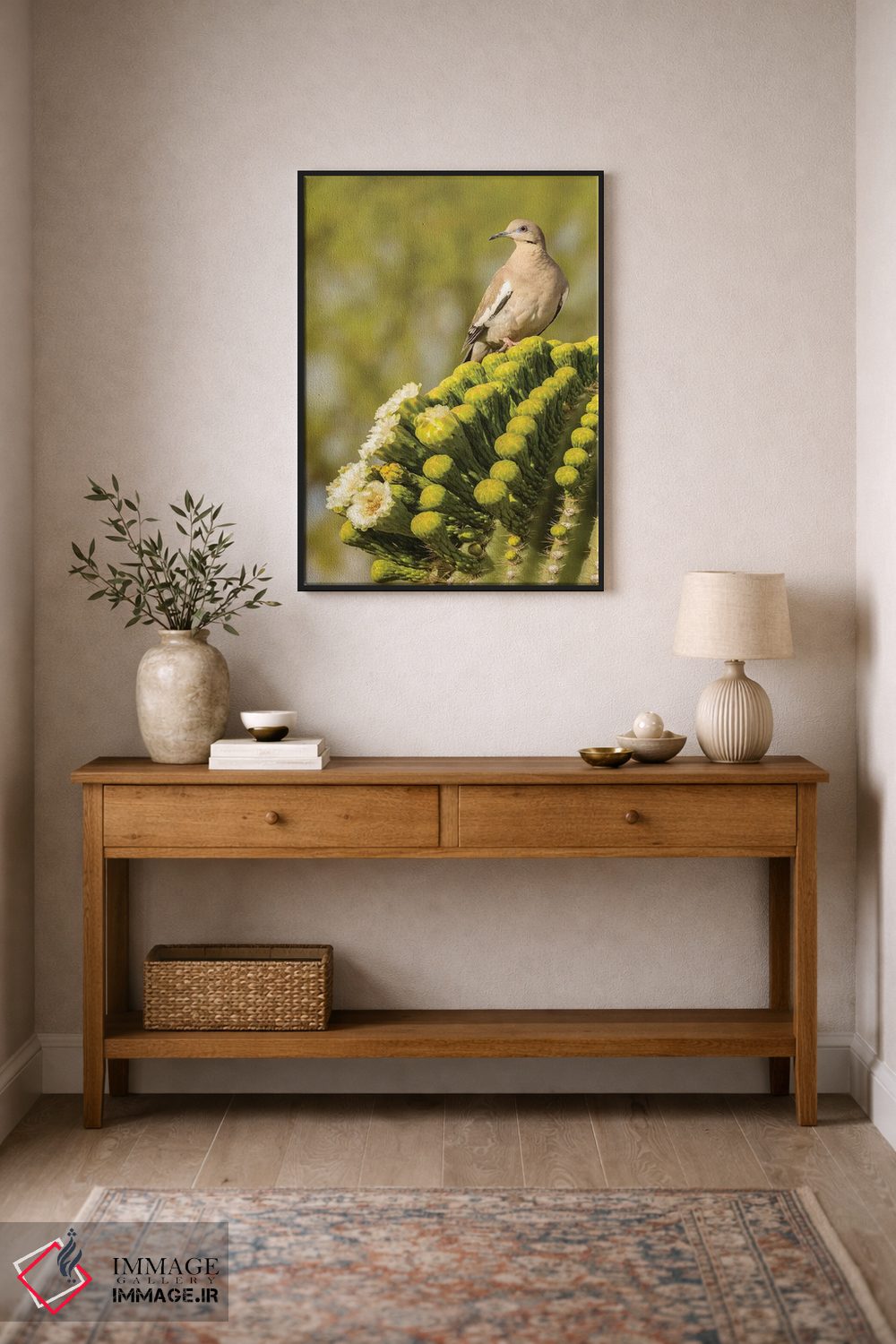 تابلو دکوراتیو Arizona, Sonoran Desert. White-winged dove on saguaro cactus… اثر جینز گالری - D2B