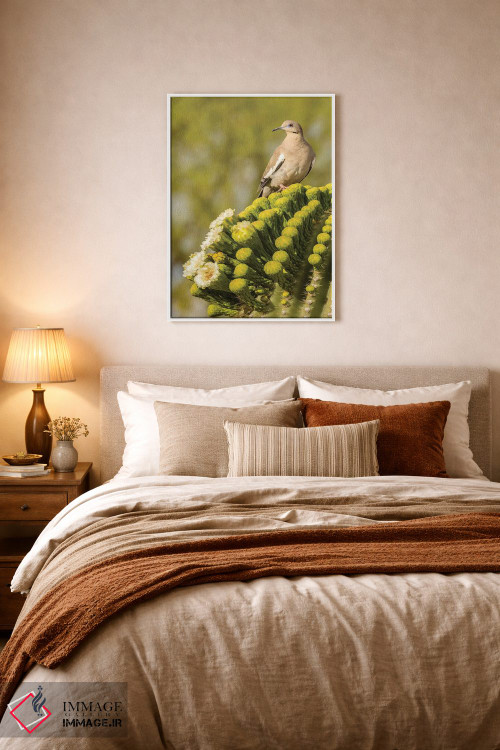 تابلو دکوراتیو Arizona, Sonoran Desert. White-winged dove on saguaro cactus… اثر جینز گالری - D5W