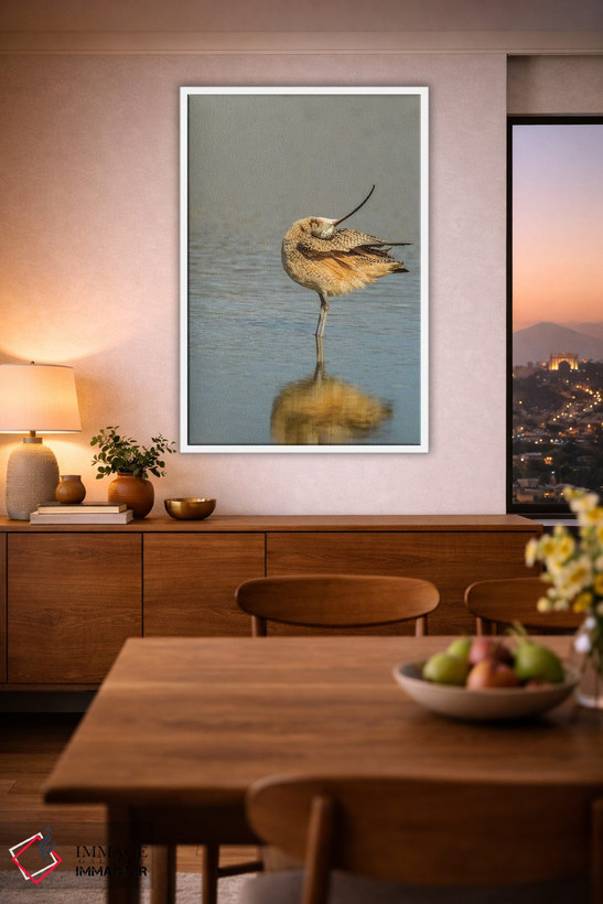 تابلو دکوراتیو California, San Luis Obispo. Long-billed curlew in water.,آم… اثر جینز گالری - D1W