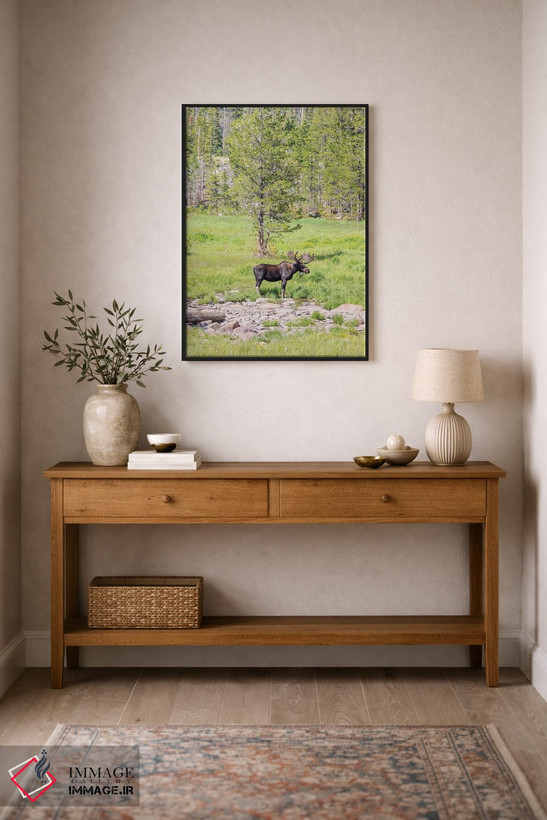 تابلو دکوراتیو Colorado, Cameron Pass. Bull moose with antlers.,آمریکا، کلر… اثر جینز گالری - D2B