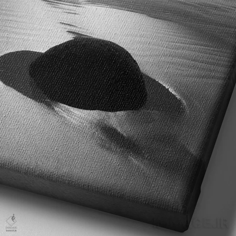 تابلو دکوراتیو South Island. BW starburst over Moeraki Boulders Scenic Rese… اثر جینز گالری - نمای نزدیک بافت بوم