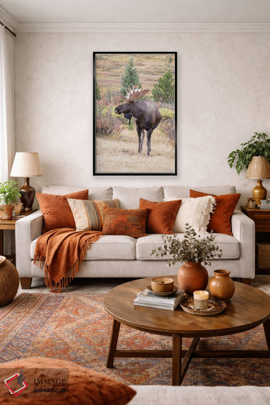 تابلو دکوراتیو Colorado, Cameron Pass. Bull moose with antlers.,آمریکا، کلر… اثر جینز گالری - D2B