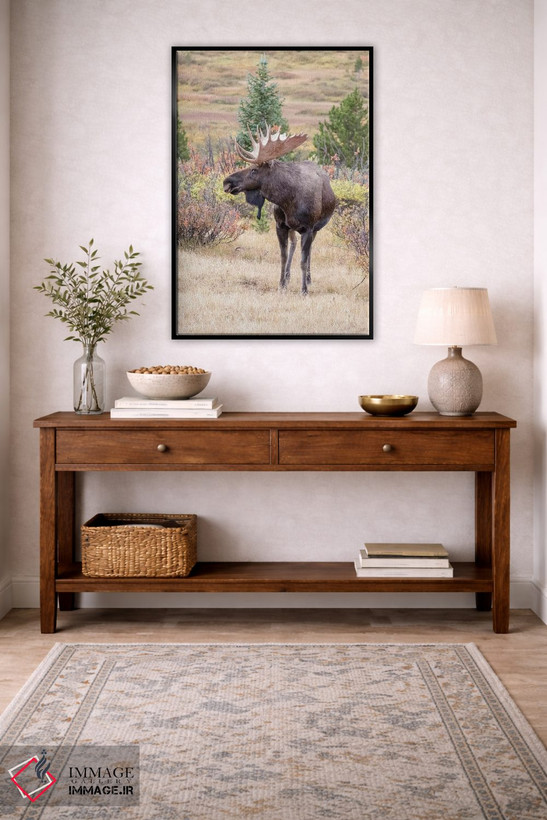 تابلو دکوراتیو Colorado, Cameron Pass. Bull moose with antlers.,آمریکا، کلر… اثر جینز گالری - D4B
